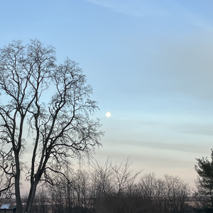 Move Into Light: A Through Your Own Lens® Spring Gathering